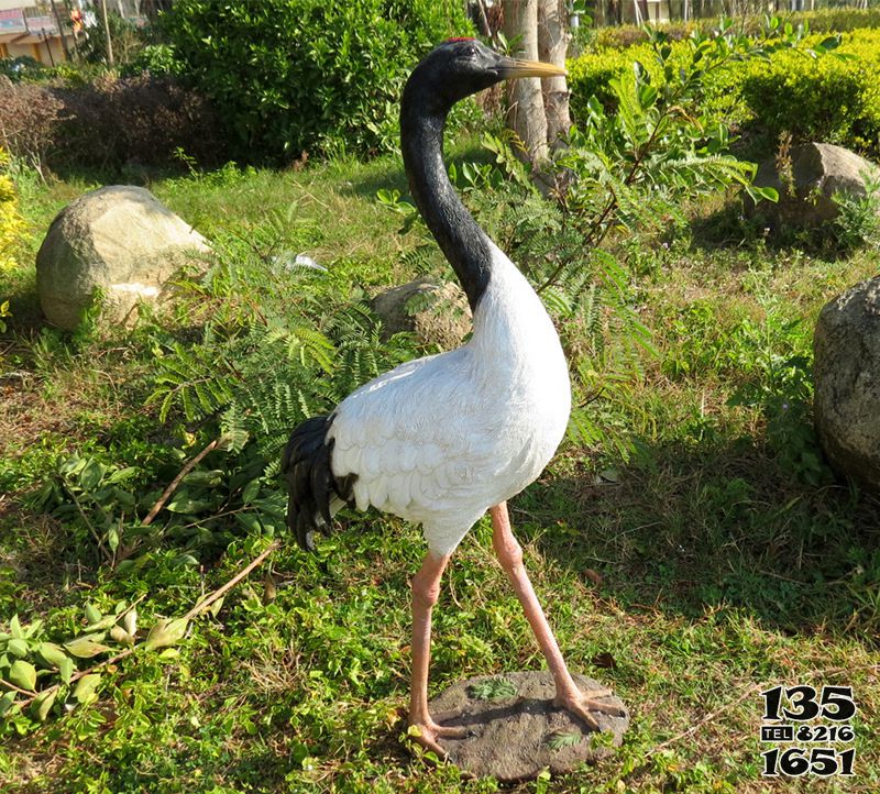 仙鶴雕塑-戶(hù)外玻璃鋼彩繪仿真動(dòng)物公園景觀仙鶴雕塑高清圖片