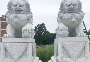 獅子雕塑-公園廣場漢白玉石雕兩只獅子雕塑