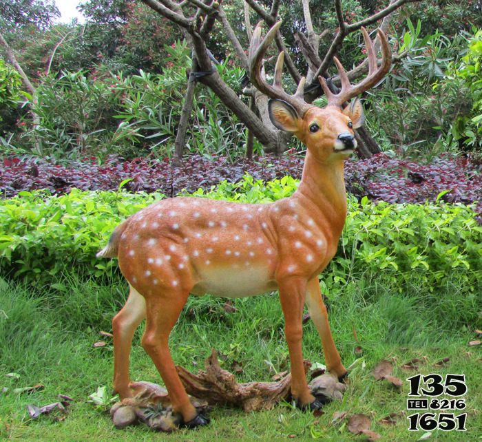 鹿雕塑-公園景區(qū)玻璃鋼彩繪一只站立中的鹿雕塑高清圖片