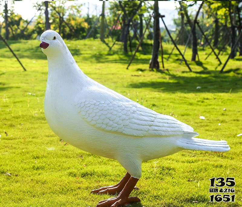 鴿子雕塑-草坪公園仿真動(dòng)物玻璃鋼鴿子雕塑高清圖片