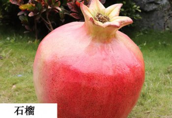 水果雕塑-步行街仿真植物假蔬菜農(nóng)場(chǎng)景觀紅石榴玻璃鋼模型擺件水果雕塑