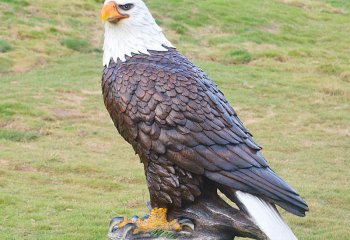 老鷹雕塑-動(dòng)物園一只孤獨(dú)的樹脂老鷹雕塑