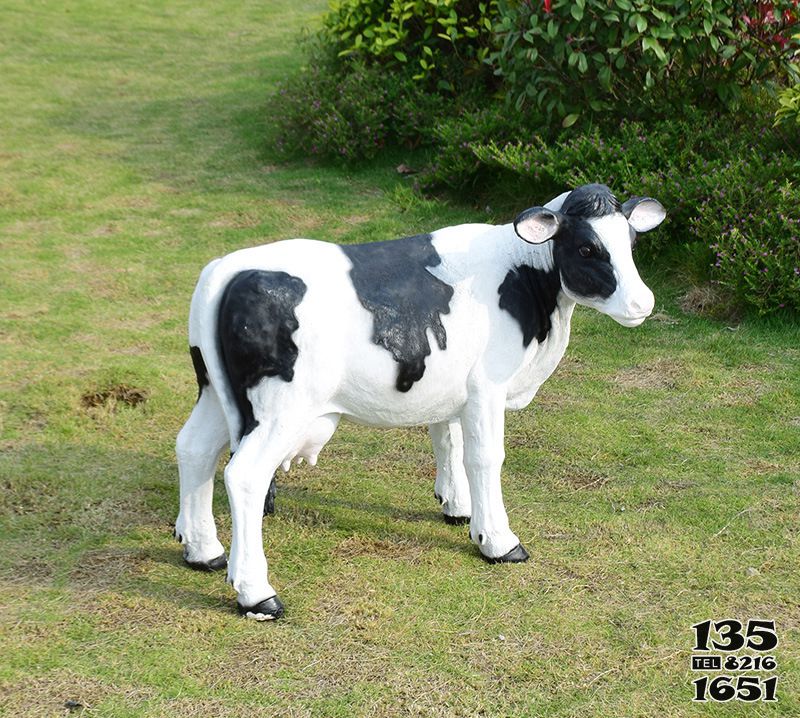 牛雕塑-動物園一只玻璃鋼仿真黑白色牛雕塑高清圖片