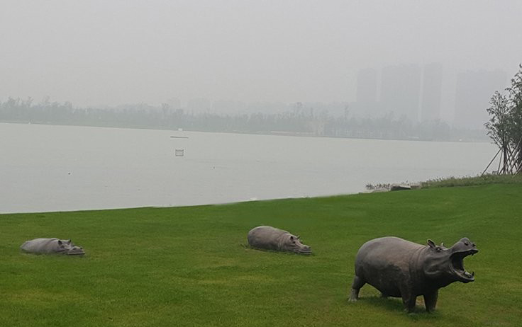 銅雕河馬公園動物雕塑-公園動物銅雕河馬高清圖片