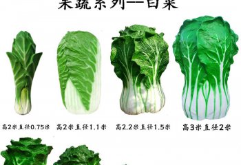 玻璃鋼果蔬白菜雕塑-玻璃鋼果蔬白菜雕塑，仿真玻璃鋼白菜雕塑